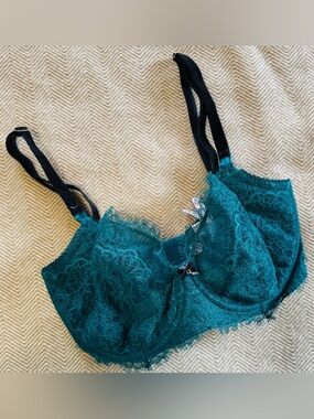Victoria's Secret Wicked Unlined Lace & Velvet Balconette Push Up Bra 34DDD